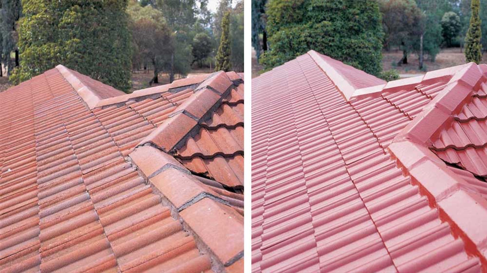 Faded roof brought back to life